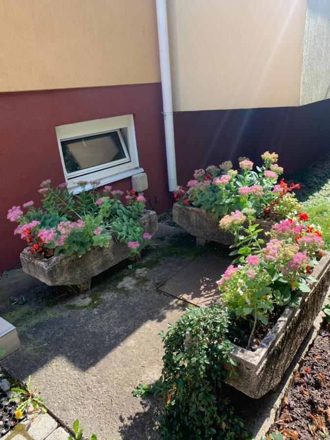 Konig Apartman Hévíz Exteriör bild
